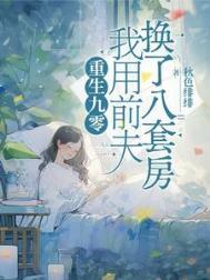 重生九零我用前夫换了八套房结局