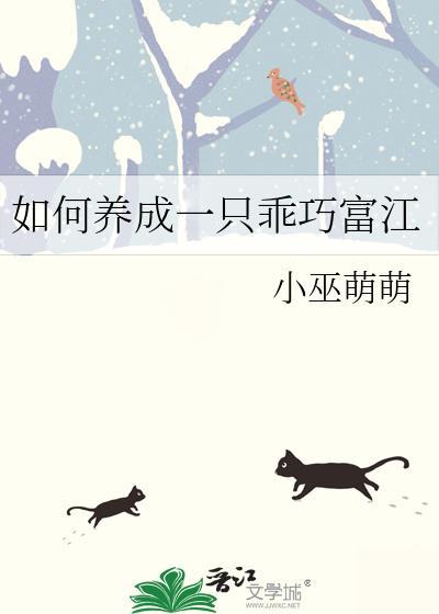 如何养成一只圣子txt