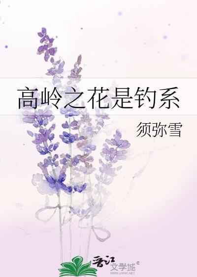 高岭之花是钓系晋江