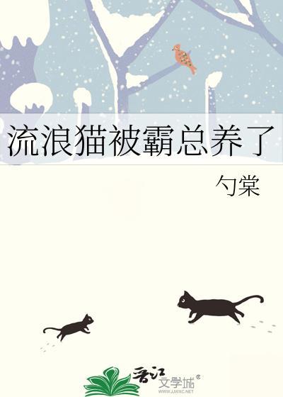 被流浪猫选中当主人预示什么