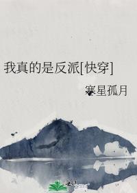 我真的是反派快穿寒星孤月TXT