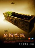 金棺噬魂70集在线收听