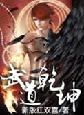 武道乾坤境界
