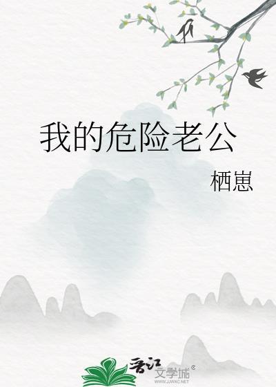 我的危险老公剧情介绍