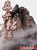 五岳独尊20年39度价格
