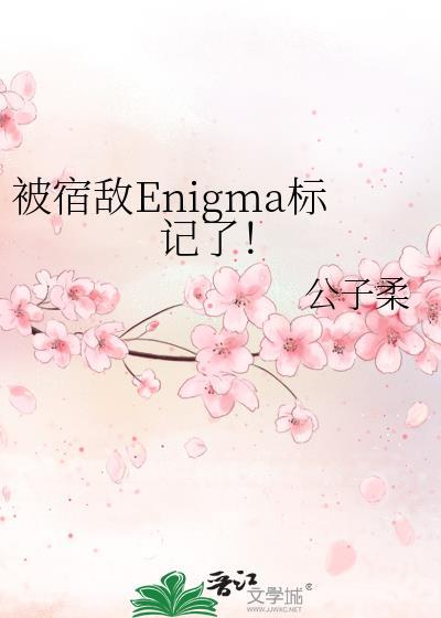 被宿敌enigma标记了TXT