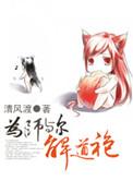为师与尔解道袍 肉