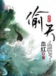 偷天免费阅读