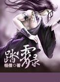 踏霄录全集