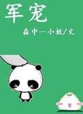 军宠(军旅高干) H