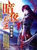 暗夜君王叶君临全集在线观看