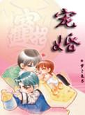 宠婚讲的是什么