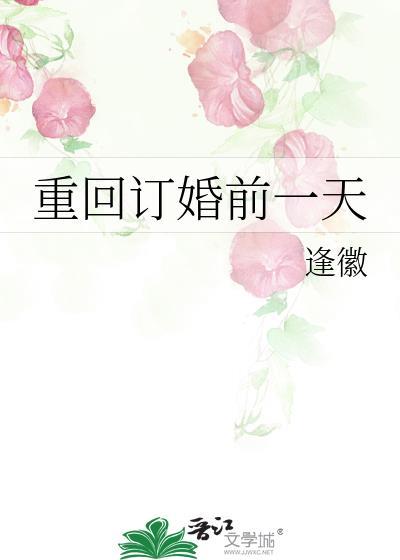 重回订婚前一天百度