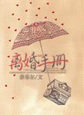 离婚手册by奈菲尔