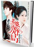 老婆诱你入局by半盒胭脂
