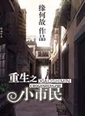 重生之小市民菠萝笔记