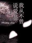 我从不曾说爱你晋江