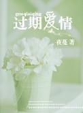 过期爱情作者夜蔓