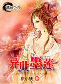 异世墨莲全文阅读