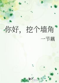 挖你家墙角