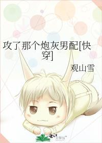 攻了那个炮灰男配txt