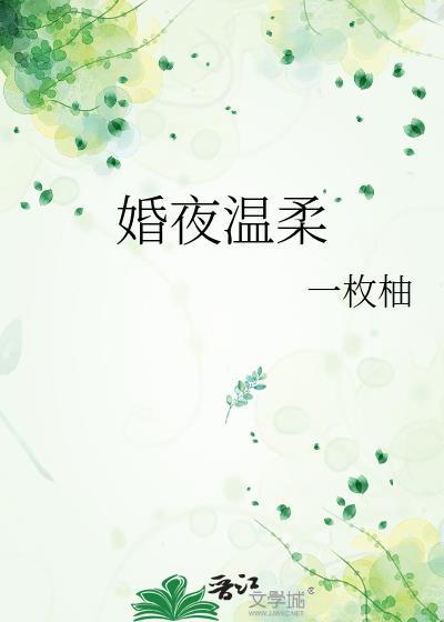 婚夜温柔全文