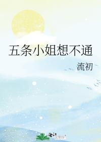 五条小姐想不通全文免费阅读最新章节