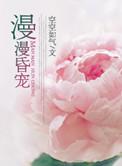 漫漫暖婚在线全文免费阅读