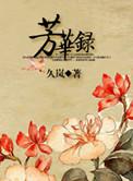 城市芳华录