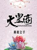 大皇商by燕赵公子讲的什么故事