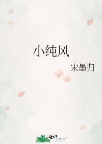 小纯风作者宋墨归