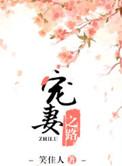 宠妻之路百度