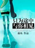 只为途中与你相见讲的什么