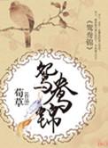 鸳鸯佩免费阅读