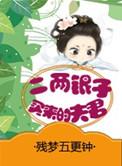 二两银子买来的夫君是太子