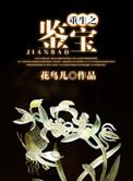 重生鉴宝 我真没想当专家