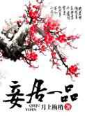 妾居一品全本TXT
