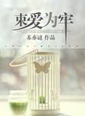 束爱为囚全本阅读