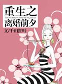 重生之离婚前全文免费阅读