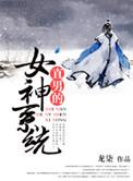 直男的女神系统by龙柒讲的什么