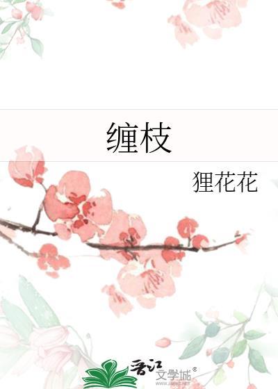 缠枝莲花纹