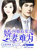 闪婚蜜爱娇妻太难宠