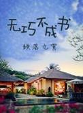 无巧不成书作者的全部