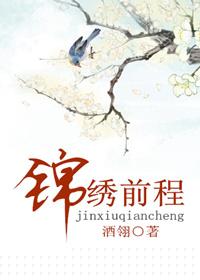 锦绣前程多少笔画