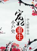 宠妃重生小户史免费阅读