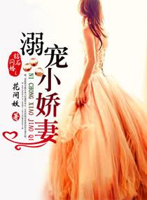 钻石闪婚之溺宠小娇妻全文
