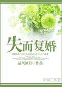 失而复婚讲的是什么故事