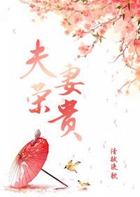 夫荣妻贵清越流歌TXT