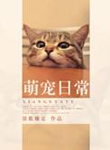 萌宠日常奶凶猫咪