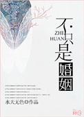不只是婚姻全文无删减番外